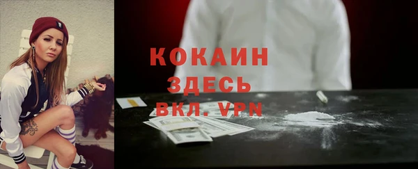 mdpv Богородск
