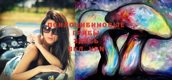 дурь Богородицк