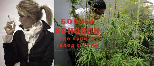 бошки Богданович