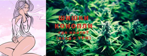 бошки Богданович