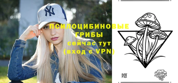 бошки Богданович